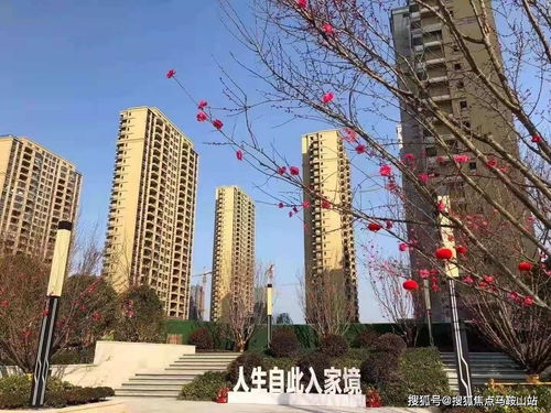 鎮江新盤速遞 一站式獲取樓盤動態、地址戶型與教育資源解析